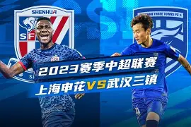 上海申花对东京fc比分预测