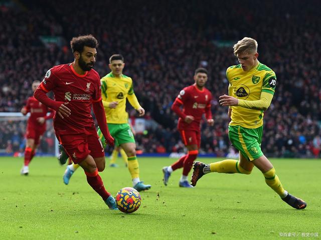 娱乐平台-诺维奇球队阵容